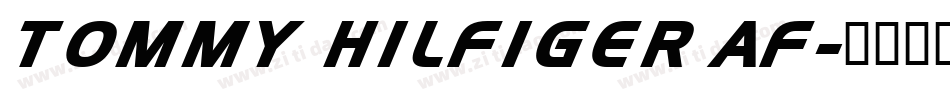 TOMMY HILFIGER AF字体转换